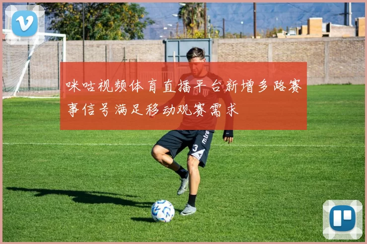咪咕视频体育直播平台新增多路赛事信号满足移动观赛需求