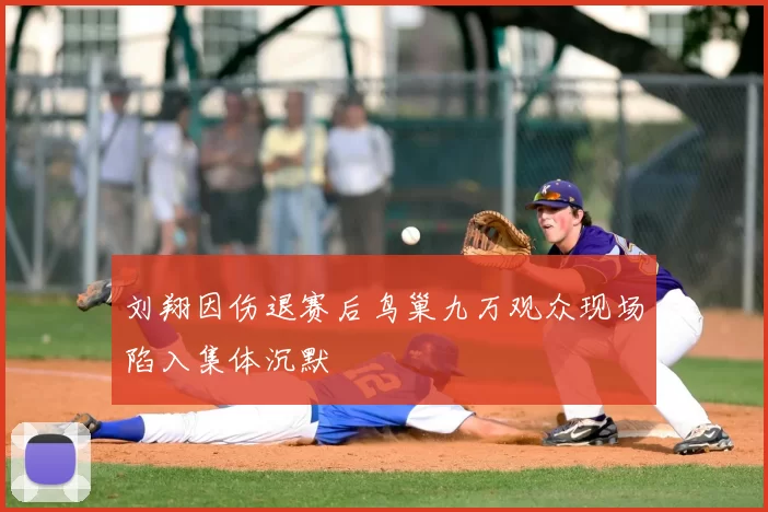 刘翔因伤退赛后鸟巢九万观众现场陷入集体沉默